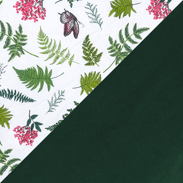 Bellochi collezioni - nature